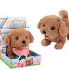 Teddy