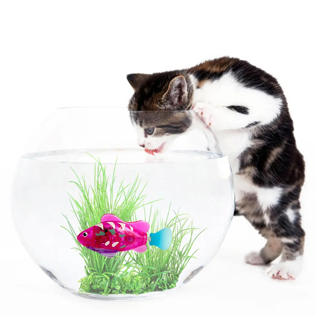 Pet Fish Electronic Cat Toys With Grass LED Light Toys beldemo5-toys2