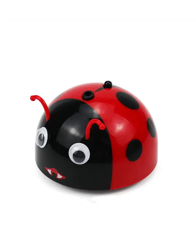 Ladybug induction toy beldemo5-toys2