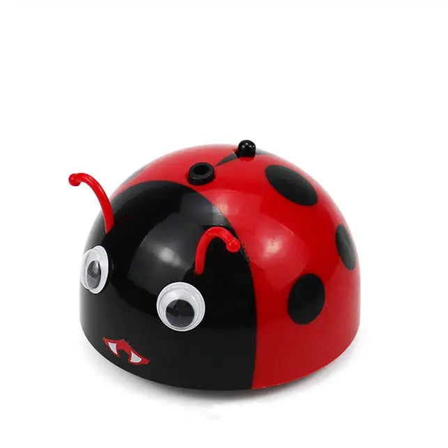 Ladybug induction toy beldemo5-toys2