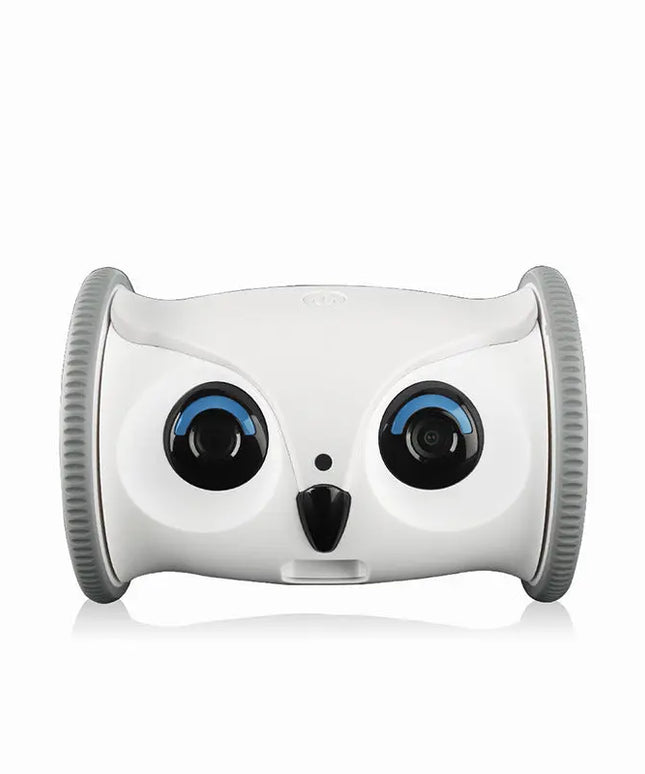 Owl-shaped Dog Electric Toy With Snacks beldemo5-toys2