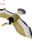 Hanging eagle