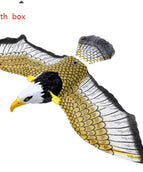 Hanging eagle
