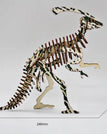 Parasaurus