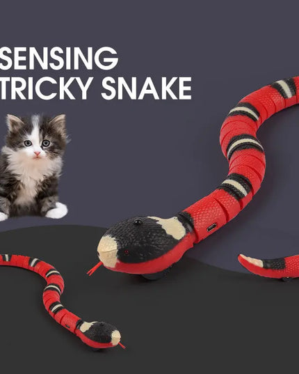 Smart Sensing Interactive Cat Toys Automatic Eletronic Snake Cat Teasering Play USB Rechargeable Kitten Toys For Cats Dogs Pet beldemo5-toys2