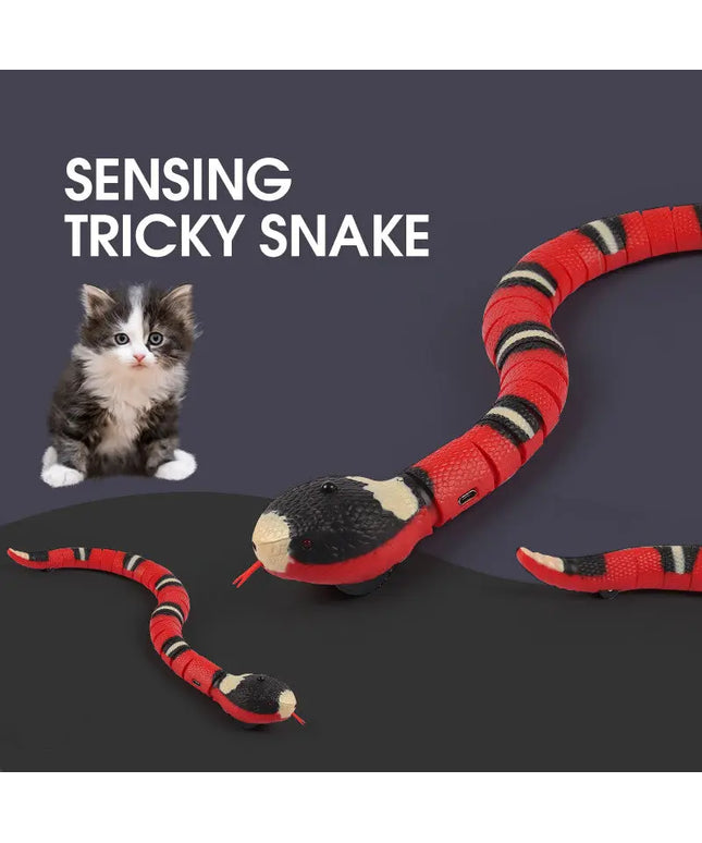 Smart Sensing Interactive Cat Toys Automatic Eletronic Snake Cat Teasering Play USB Rechargeable Kitten Toys For Cats Dogs Pet beldemo5-toys2