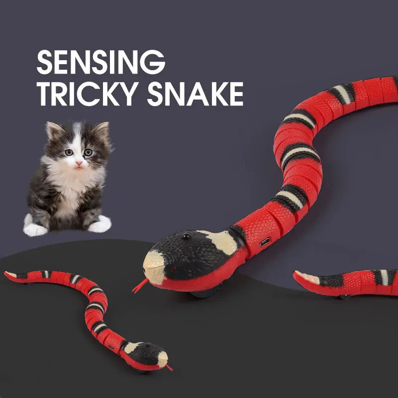 Smart Sensing Interactive Cat Toys Automatic Eletronic Snake Cat Teasering Play USB Rechargeable Kitten Toys For Cats Dogs Pet beldemo5-toys2
