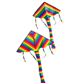 Color 2pc
