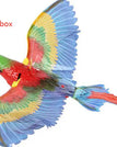 Parrot