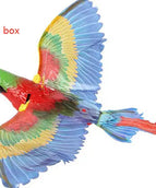 Parrot