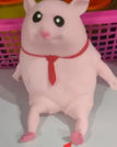 15 cm