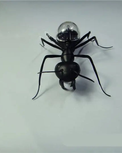 Solar Ant Baby Electronic Pet Toy beldemo5-toys2